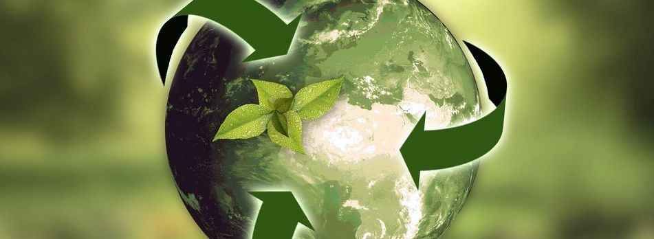 Leia mais sobre o artigo Dia do Consumo Consciente