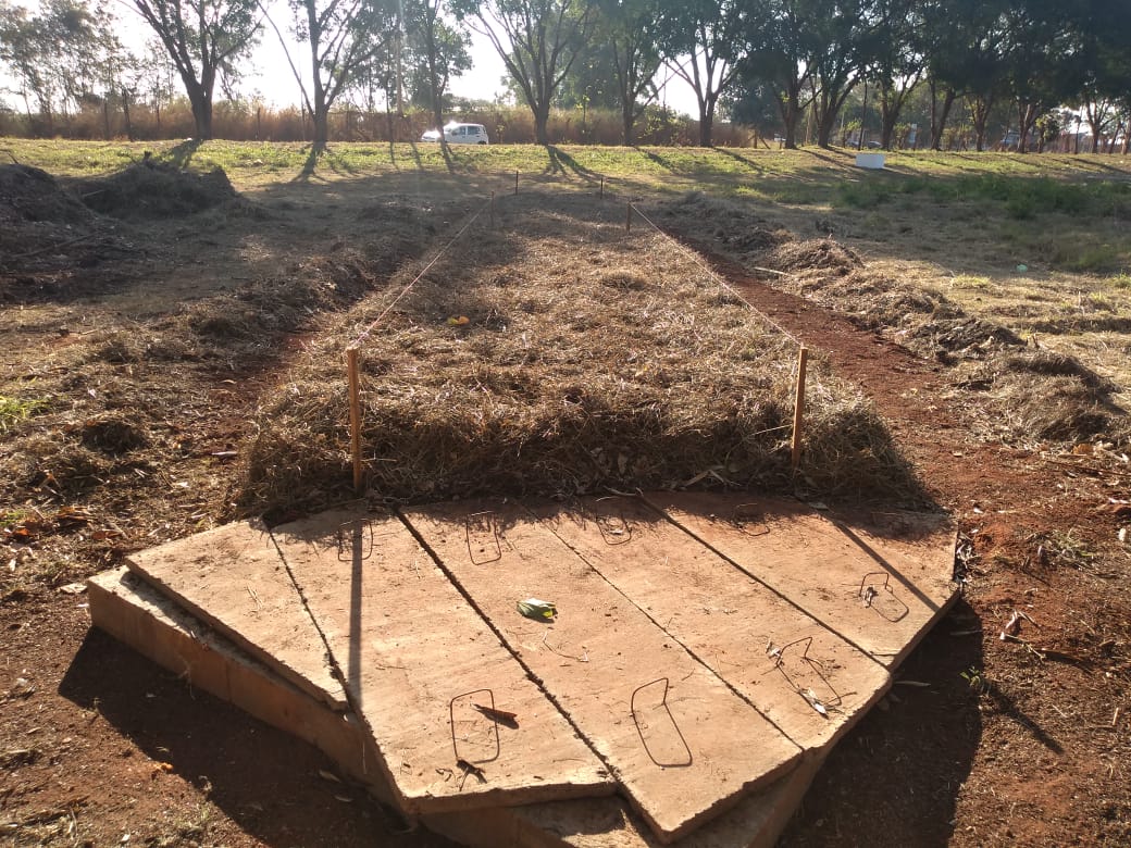 Leia mais sobre o artigo Daae desenvolve projeto piloto de compostagem