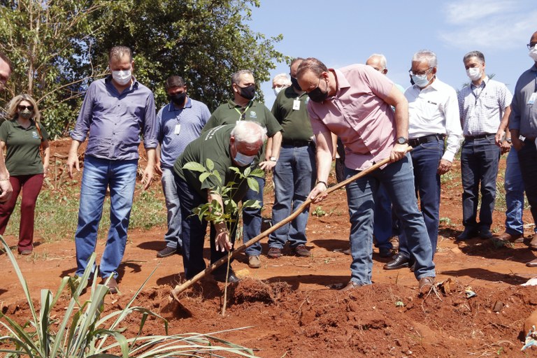 Leia mais sobre o artigo A cada recém-nascido em Araraquara, uma árvore será plantada