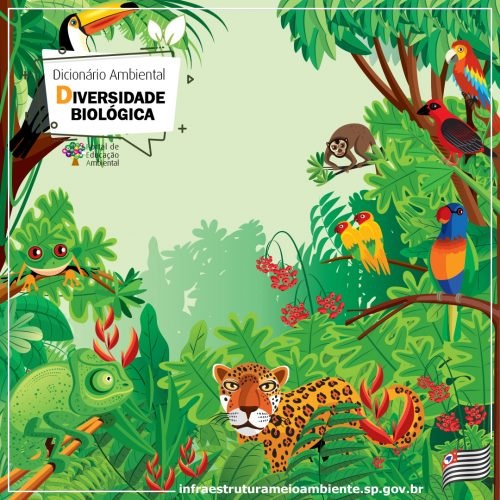 Leia mais sobre o artigo DIVERSIDADE BIOLÓGICA OU BIODIVERSIDADE