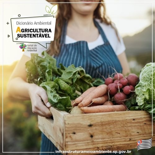 Leia mais sobre o artigo AGRICULTURA SUSTENTÁVEL