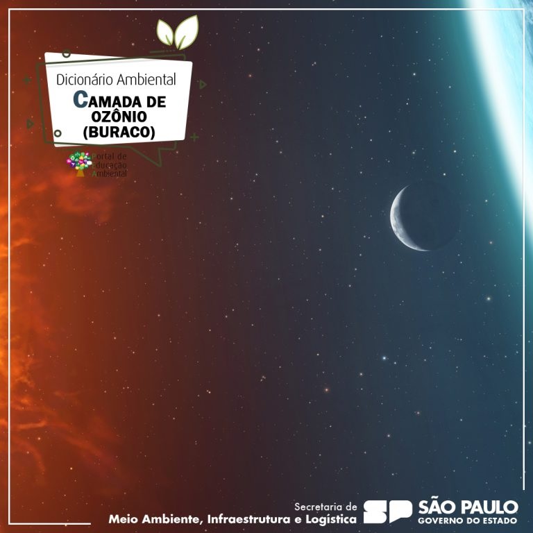 Leia mais sobre o artigo CAMADA DE OZÔNIO