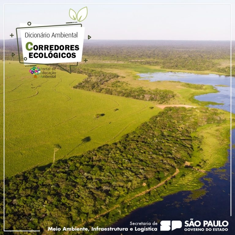 Leia mais sobre o artigo CORREDORES ECOLÓGICOS