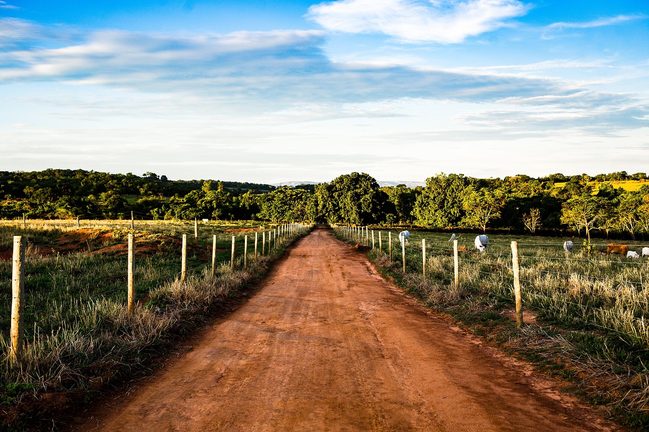 Leia mais sobre o artigo DAAE VAI ELABORAR PLANO INÉDITO PARA SANEAMENTO RURAL